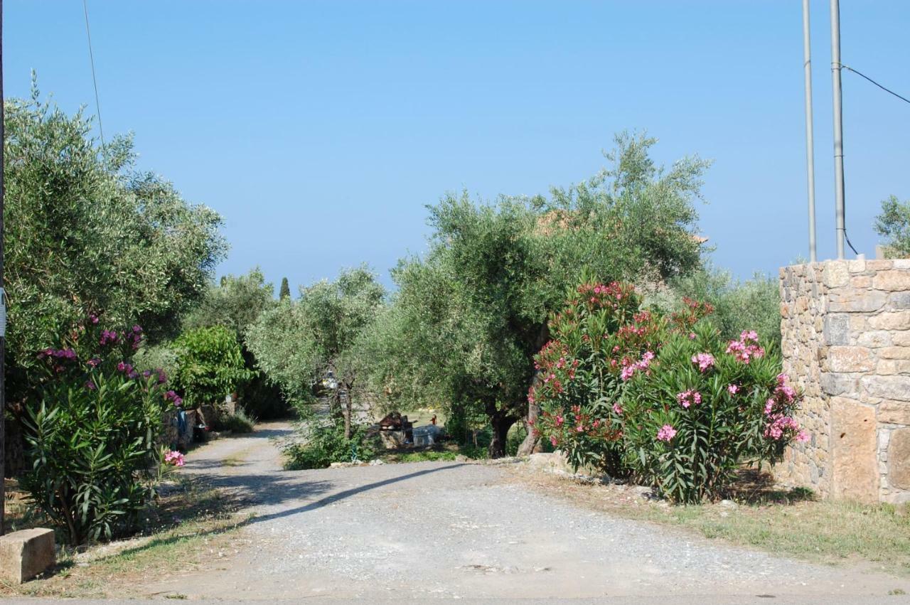 Amoni Holiday Homes 卡德哈米利 外观 照片